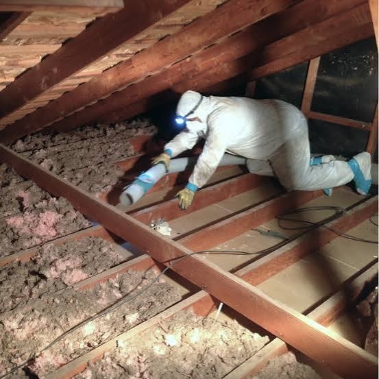 Insulation Removal